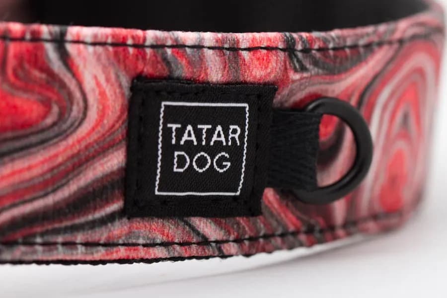 Najlepsza obroża dla owczarka podhalańskiego – komfort i trwałość