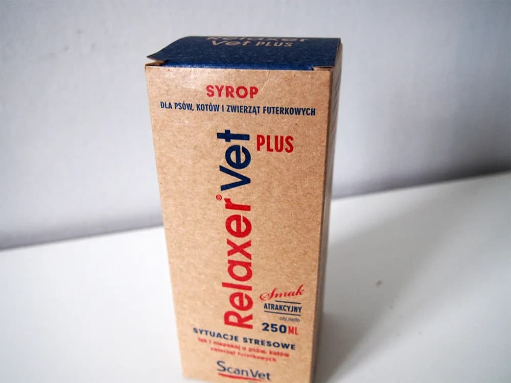 Gdzie kupić głupi jaś dla psa? Najlepsze miejsca i porady