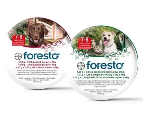 Czy obroża Foresto zabija kleszcze? Sprawdź jej skuteczność!