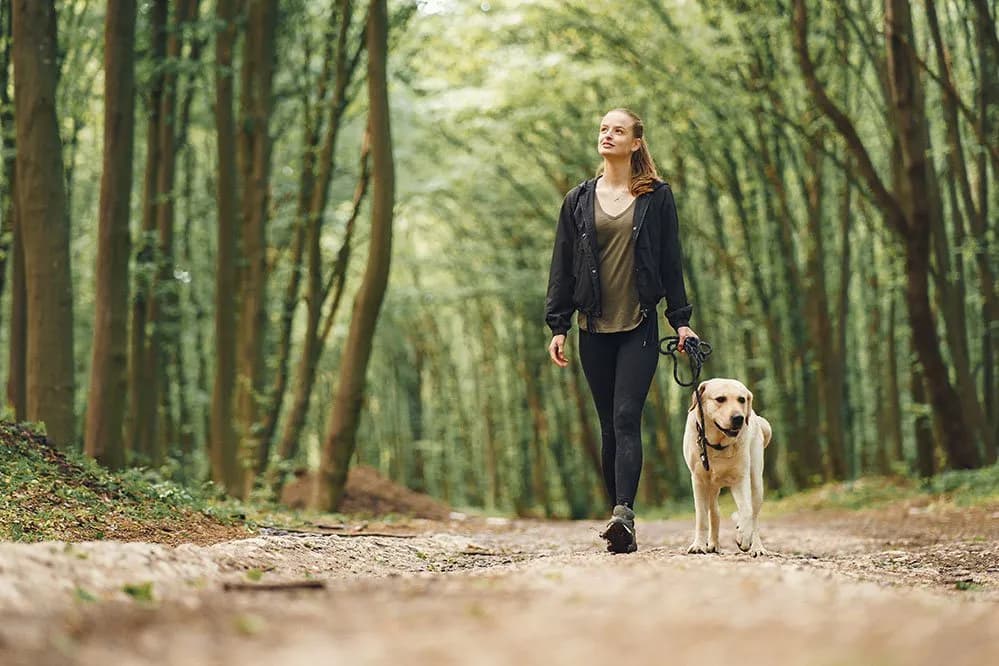 Kiedy wychodzić z psem na spacer, aby uniknąć problemów i stresu