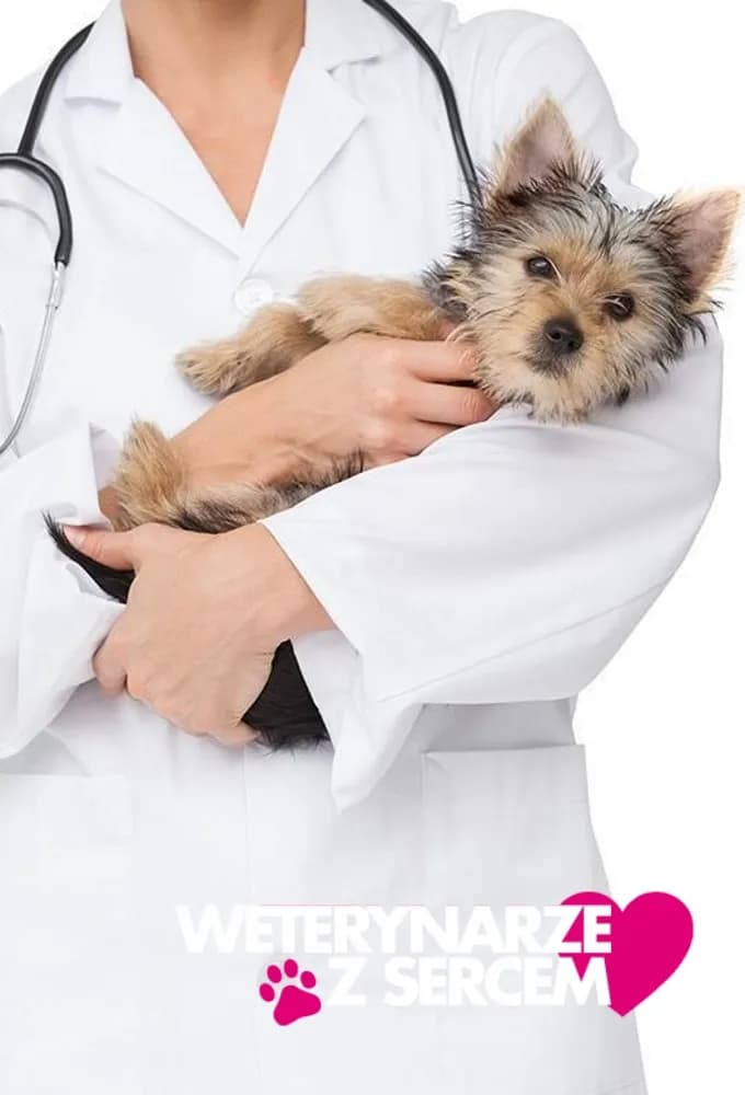 Weterynarze z sercem kiedy emisja - sprawdź harmonogram i odcinki