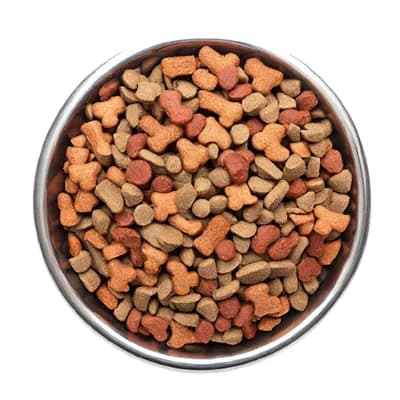 Jak moczyć suchą karmę dla psa, aby uniknąć problemów zdrowotnych