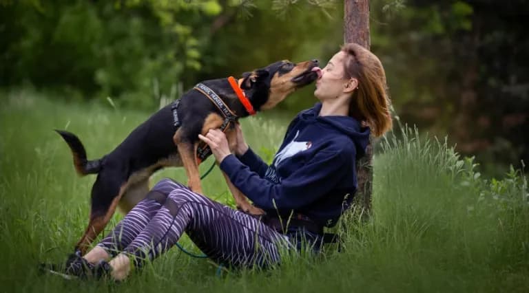 Kiedy po szczepieniu na spacer z psem? Ważne zasady i porady