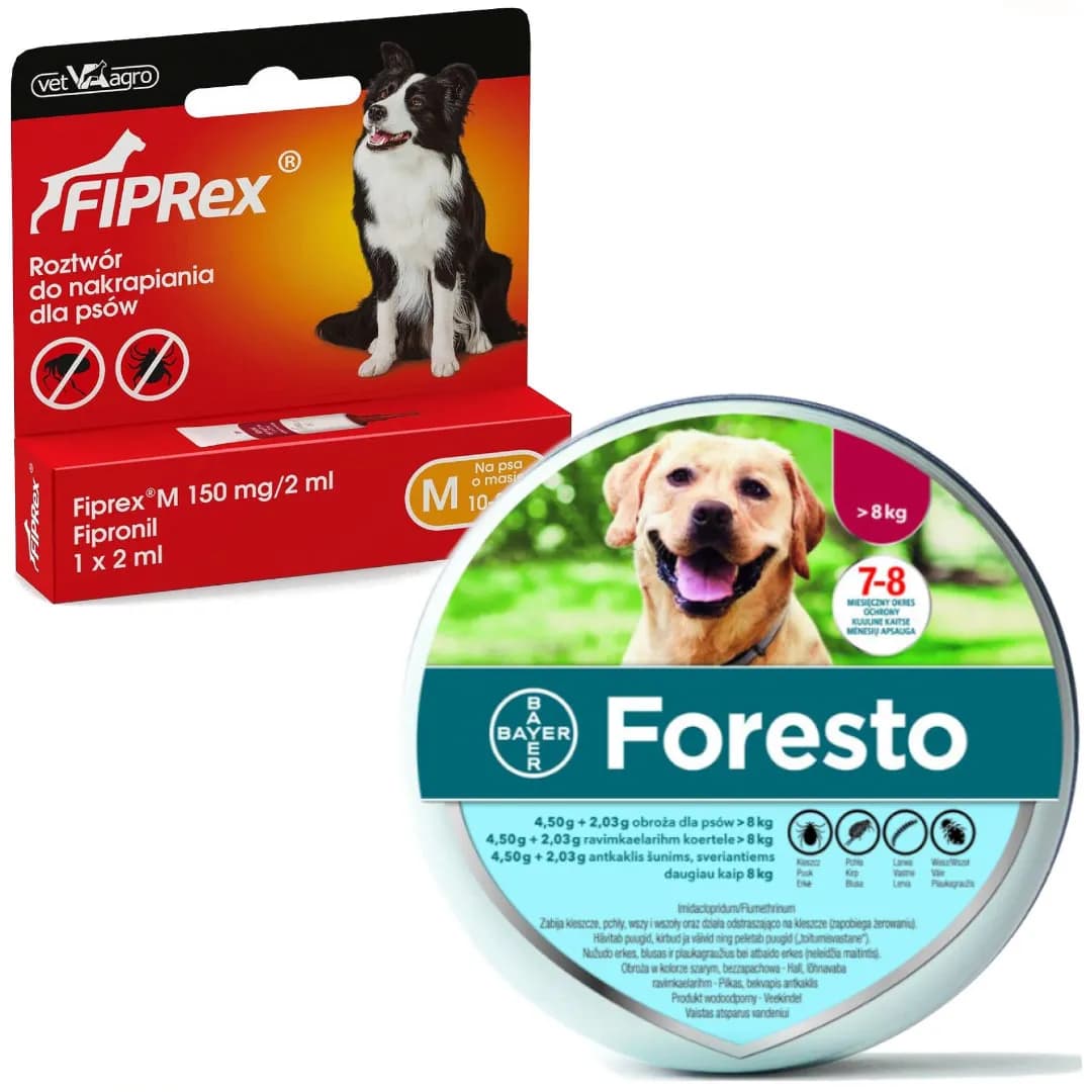 Najlepsze obroże przeciw kleszczom dla psa - uniknij niebezpieczeństw