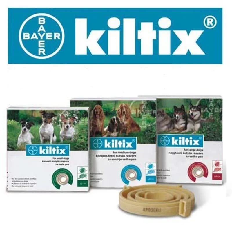 Obroża na kleszcze Foresto czy Kiltix - która lepiej chroni psa?