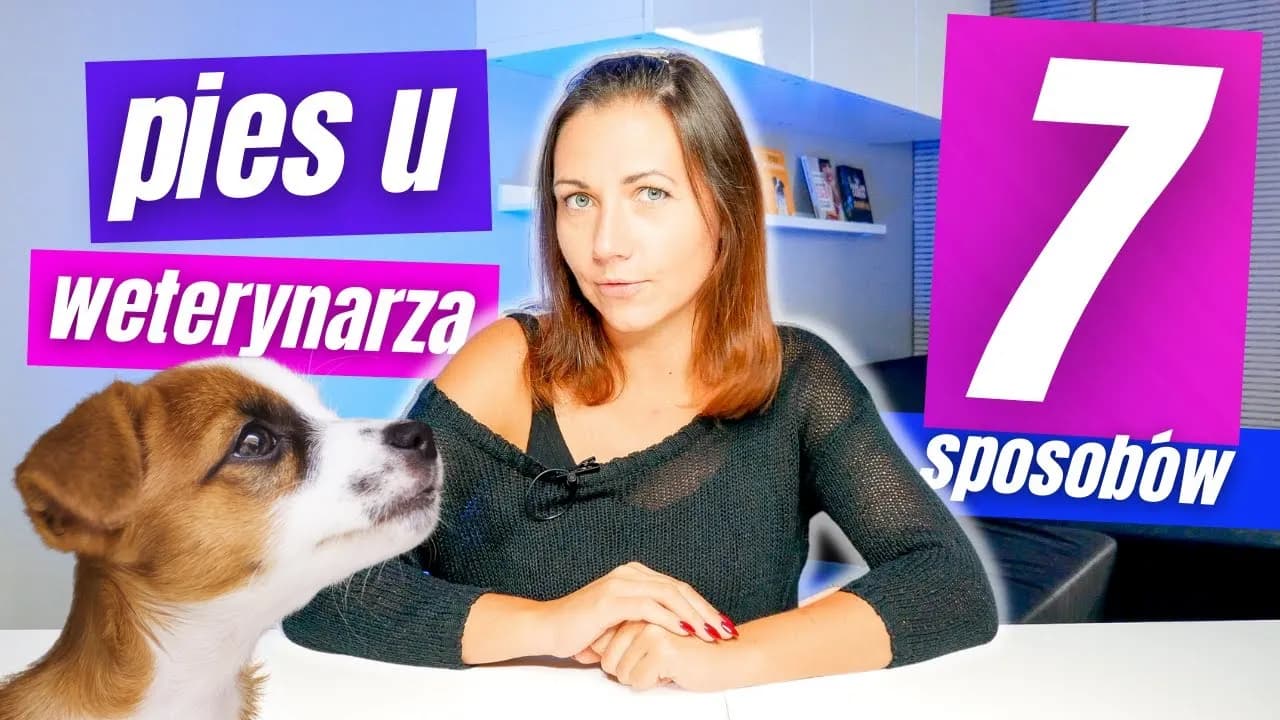 Jak zwracać się do weterynarza, aby uniknąć nieporozumień?