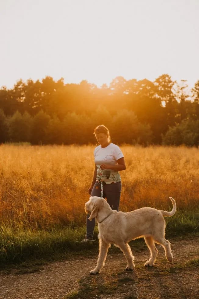 Co daje spacer z psem? Odkryj korzyści dla zdrowia i radości