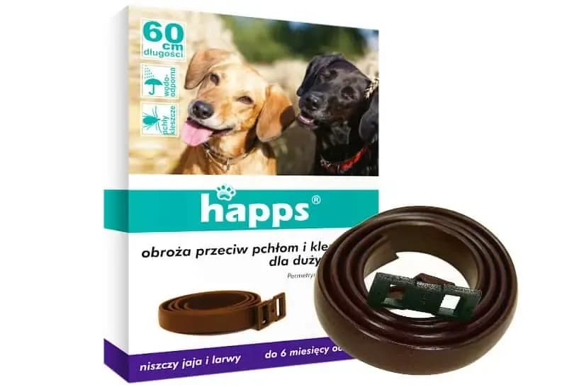 Jak działa obroża przeciw kleszczom i dlaczego warto ją wybrać