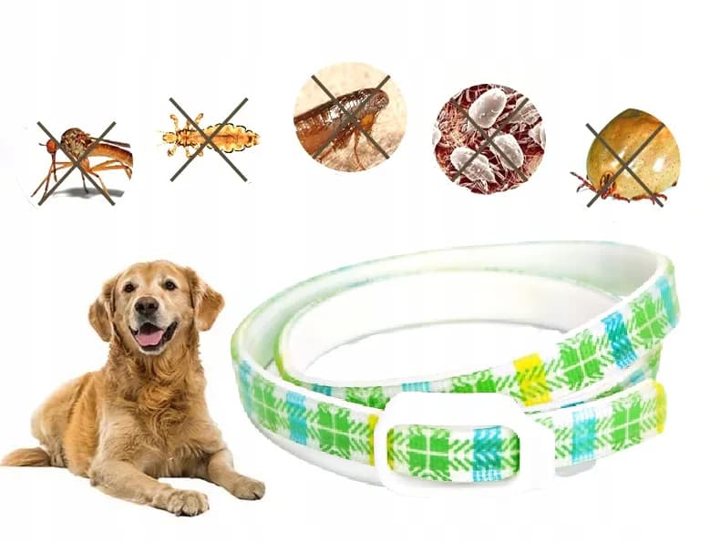 Obroża na pchły dla szczeniaka od kiedy? Bezpieczne stosowanie i porady