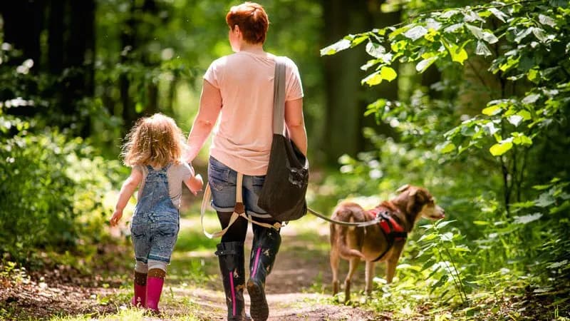 Najlepsze miejsca na spacer z psem w okolicach Warszawy, które musisz znać