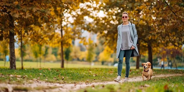 Jak urozmaicić spacer z psem i sprawić, by był bardziej radosny