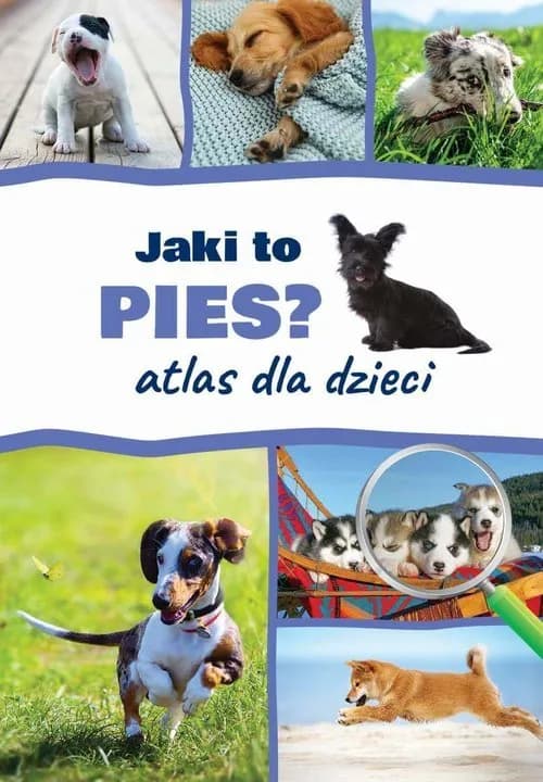 Jaki to pies atlas dla dzieci - odkryj fascynujący świat ras psów