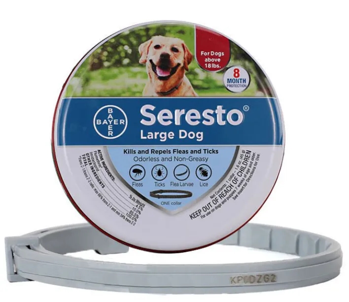 Obroża Foresto czy Seresto - która lepiej chroni przed pchłami?